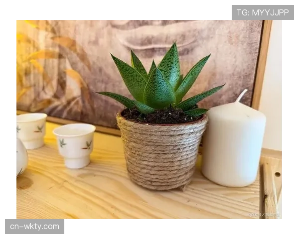 智能盆栽监测空气质量 室内赛事环境舒适度可控